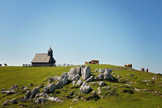 Velika Planina Guided Hike from Ljubljana - Is $89.53 a fair price?