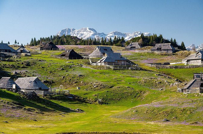 Velika Planina Guided Hike from Ljubljana - Weather, cancellation, and timing