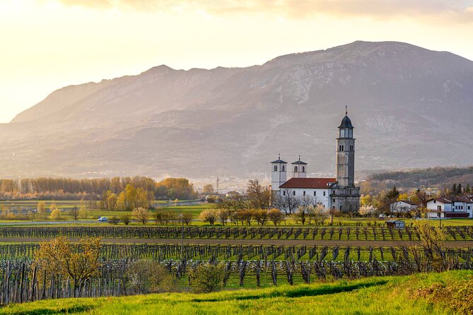Vipava Valley Wine Express Tour From Ljubljana - Key points to know before booking