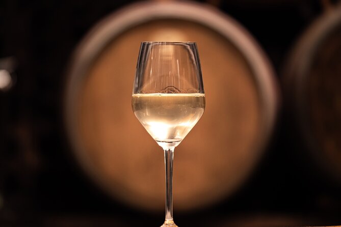 Vipava Valley Wine Express Tour From Ljubljana - Two wineries, two ways to understand Slovenian wine