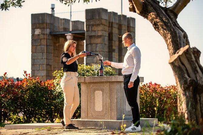 Wine Degustation in the Heart of Slovenian Istria - Five things to know before booking