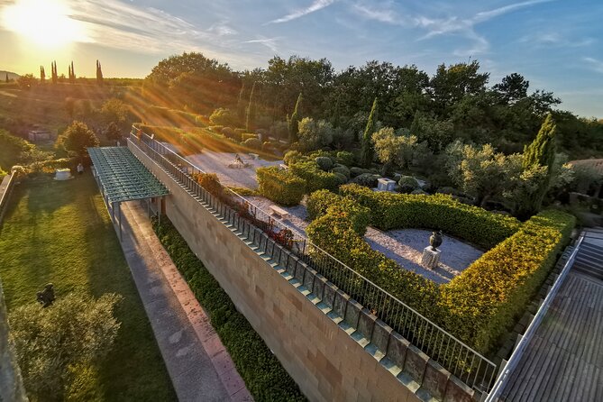 Wine Degustation in the Heart of Slovenian Istria - Olive oil is not an afterthought