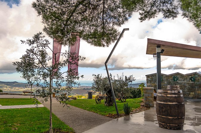 Wine Fountain Tour from Koper - Accessibility and drinking rules