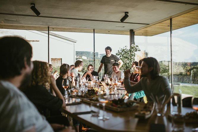 Wine Tasting with Pairing Snacks in Vipava Valley - Key points to know before you go