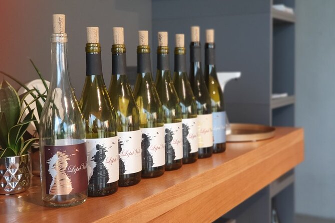 Wine Tasting with Pairing Snacks in Vipava Valley - What you taste during the two-hour session