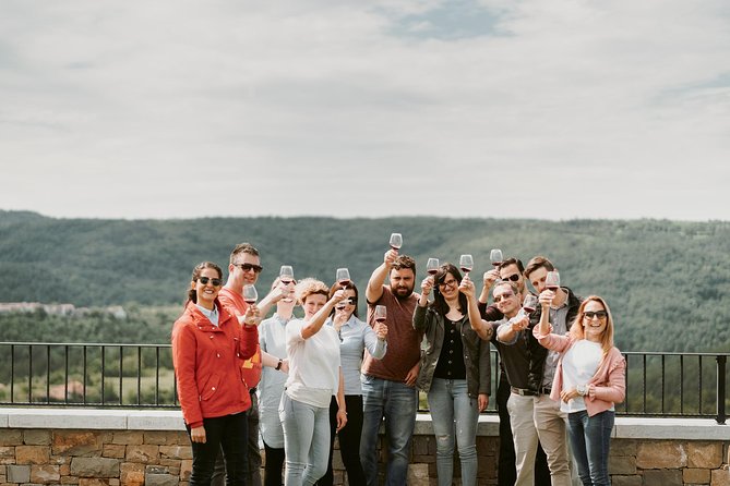 Wine Tours in Slovenia - What makes this Vipava Valley tour worth considering