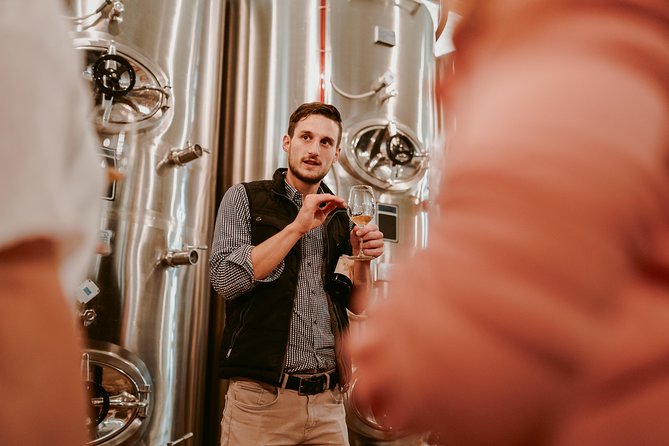 Wine Tours in Slovenia - The pace, group size, and practical rhythm
