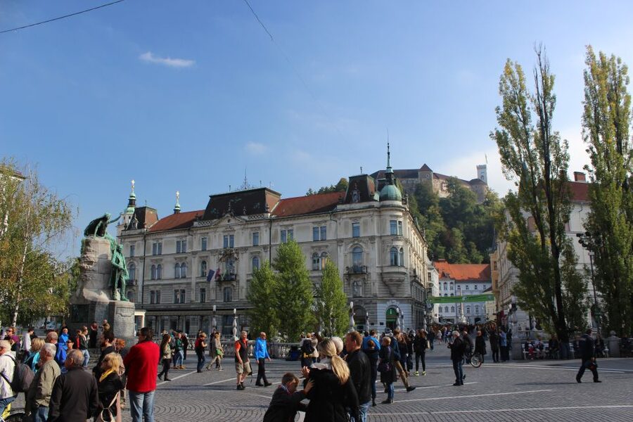 Zagreb: Day Trip Postojna Cave, Predjama Castle, & Ljubljana - The cave salamander adds a rare natural detail